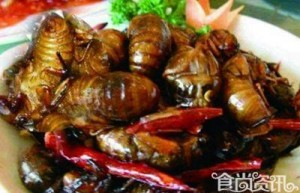Jiangsu Ten strange dish - Xuzhou / down myself turtle children