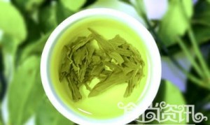 Fatty liver therapeutic side - Cellulite Slimming Tea 